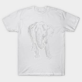 Elephant Sketch (Light) T-Shirt